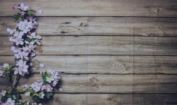 Fotohintergrund holz und blumen mieten