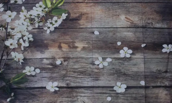 Fotohintergrund holz und blumen mieten