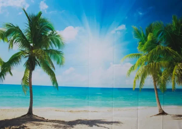 Fotohintergrund palemnstrand mieten