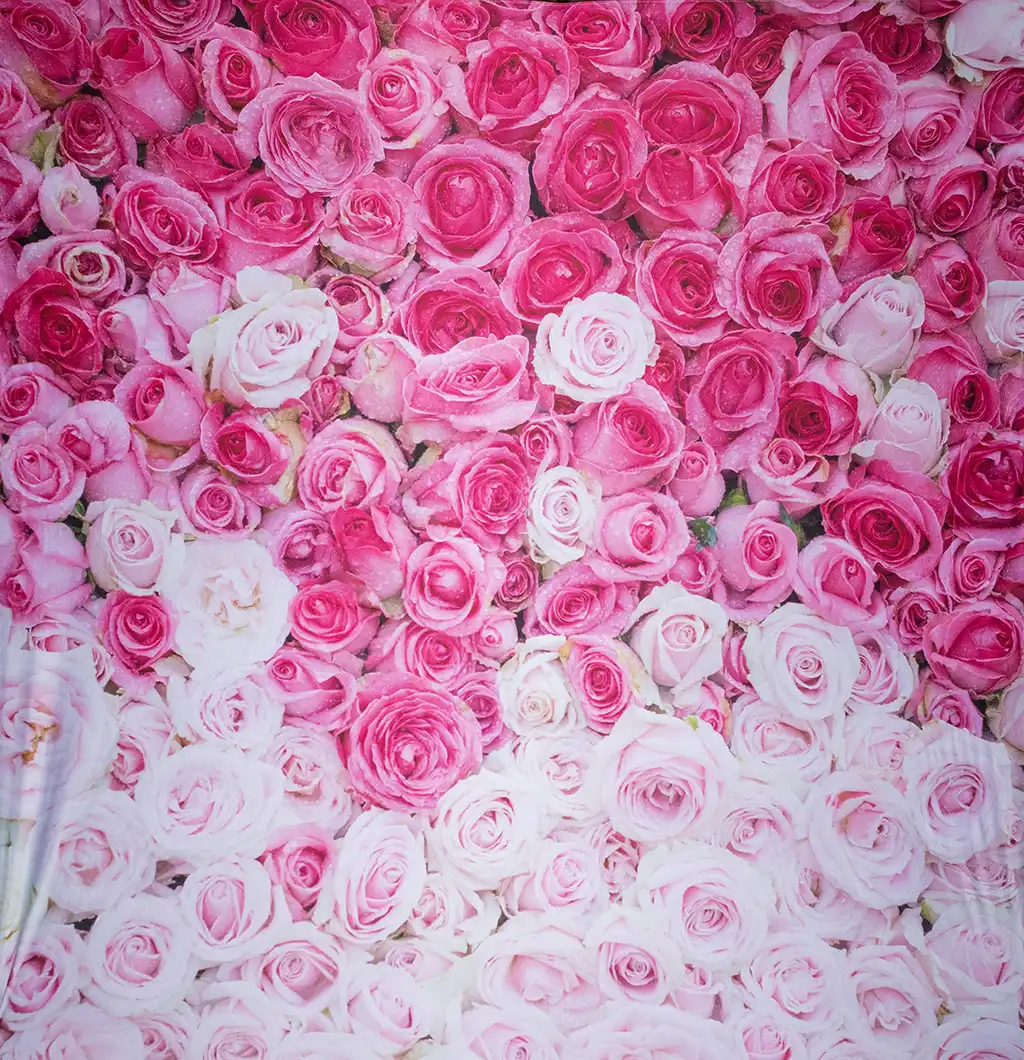 fotohintergrund blumenwand mieten